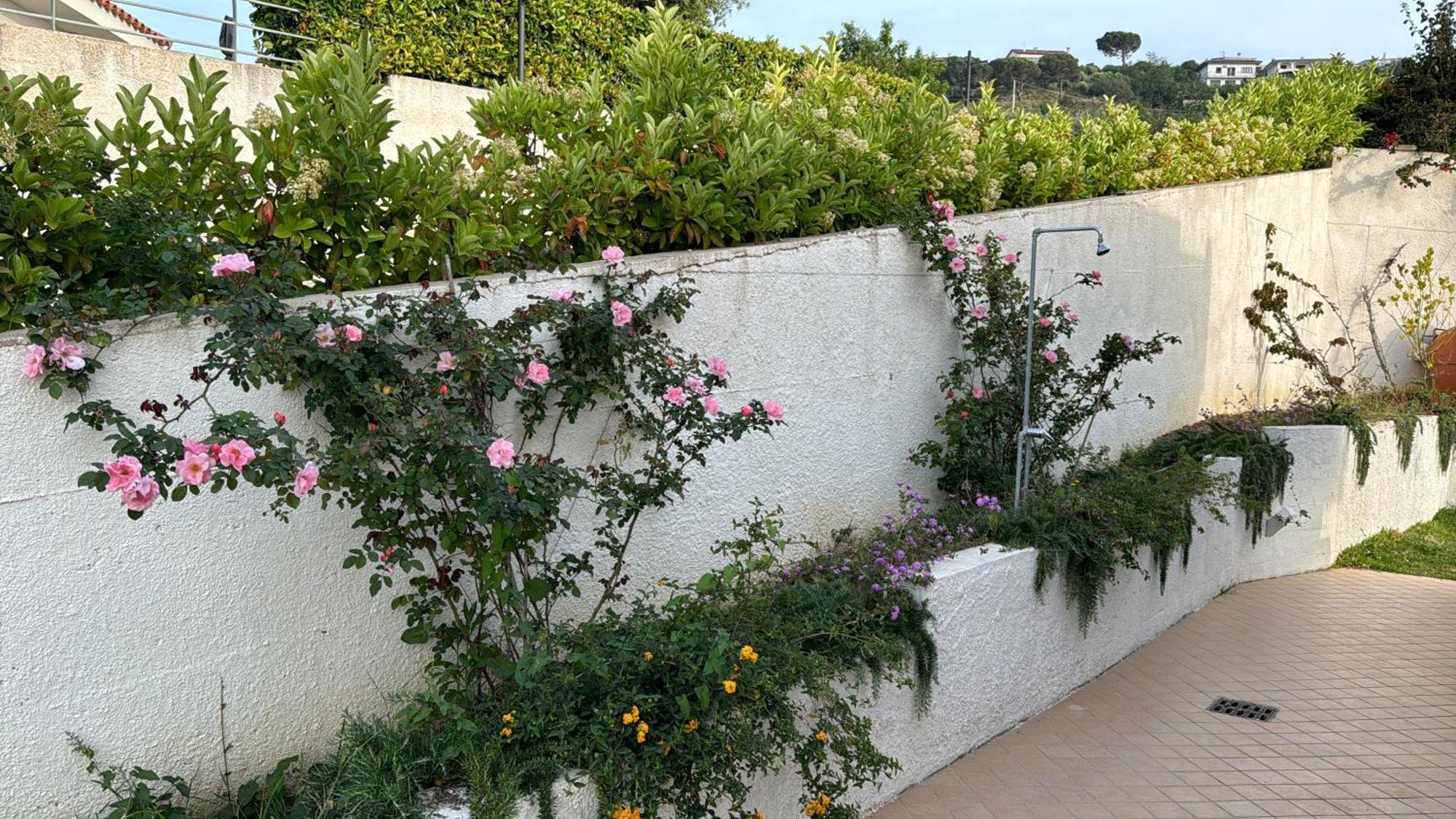 Villa Dei Fiori Zambrone Exterior foto